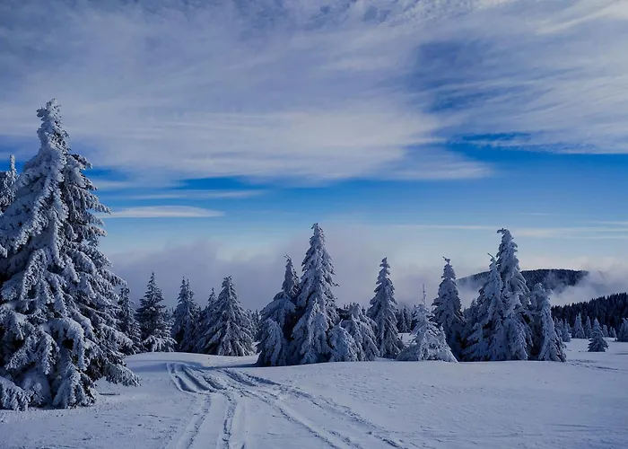 公寓 Snezanka 科帕奥尼克