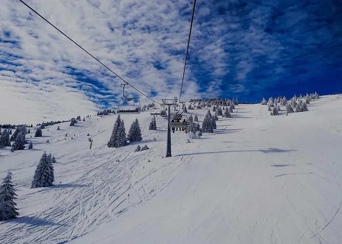 Snezanka 公寓 科帕奥尼克